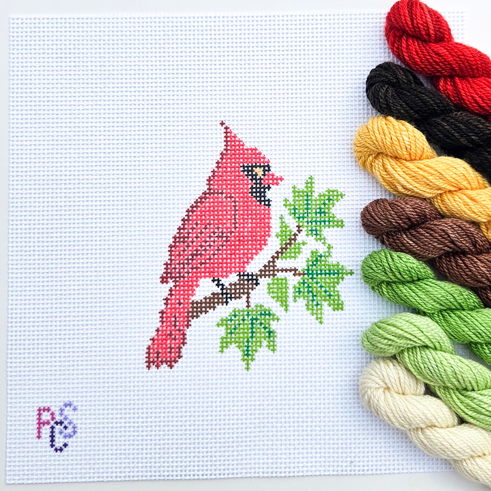 Cardinal Hand Painted Needlepoint Kit 13 Mesh Canvas Dinky Dyes