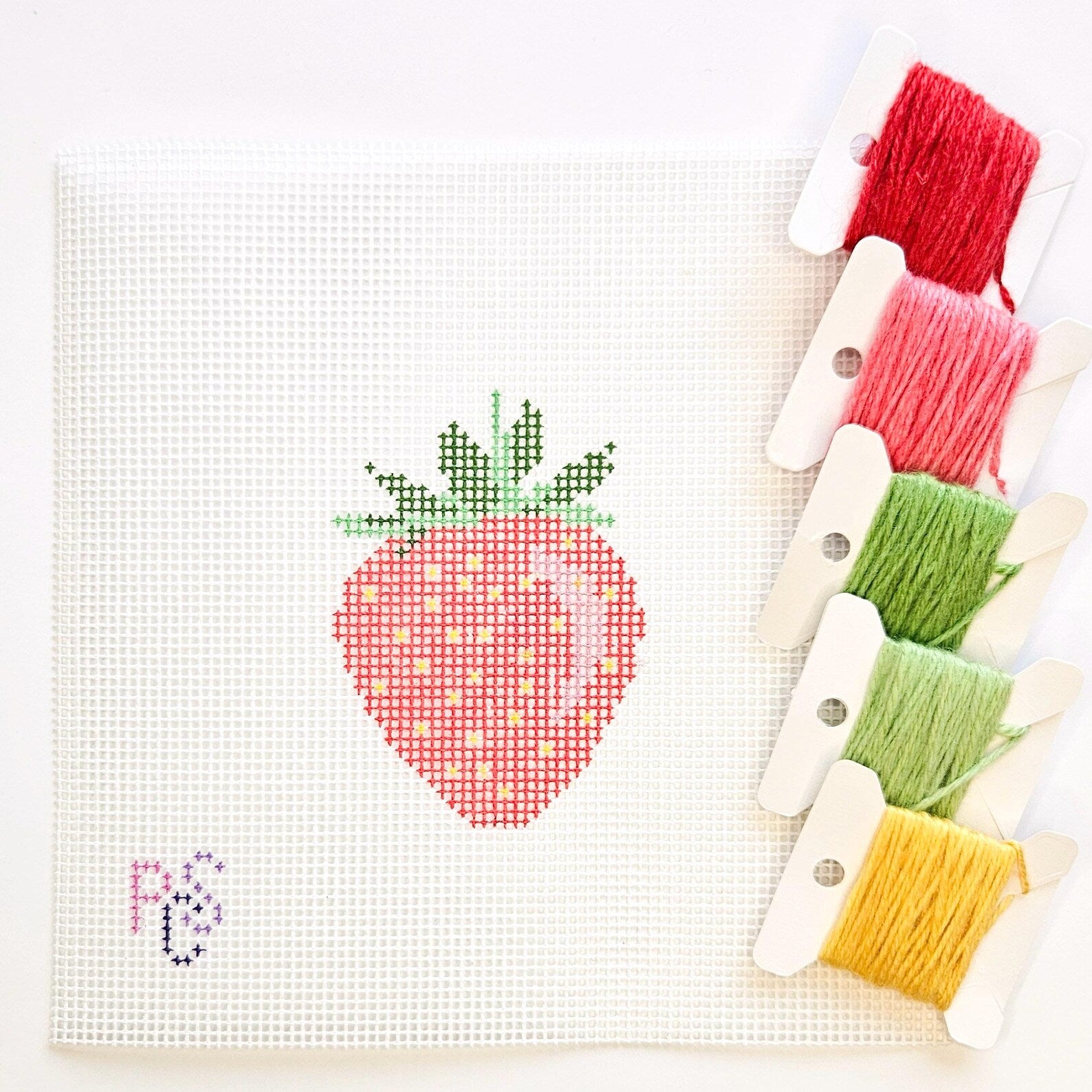 Cute Strawberry needlepoint kit hand painted canvas 14 mesh kitted