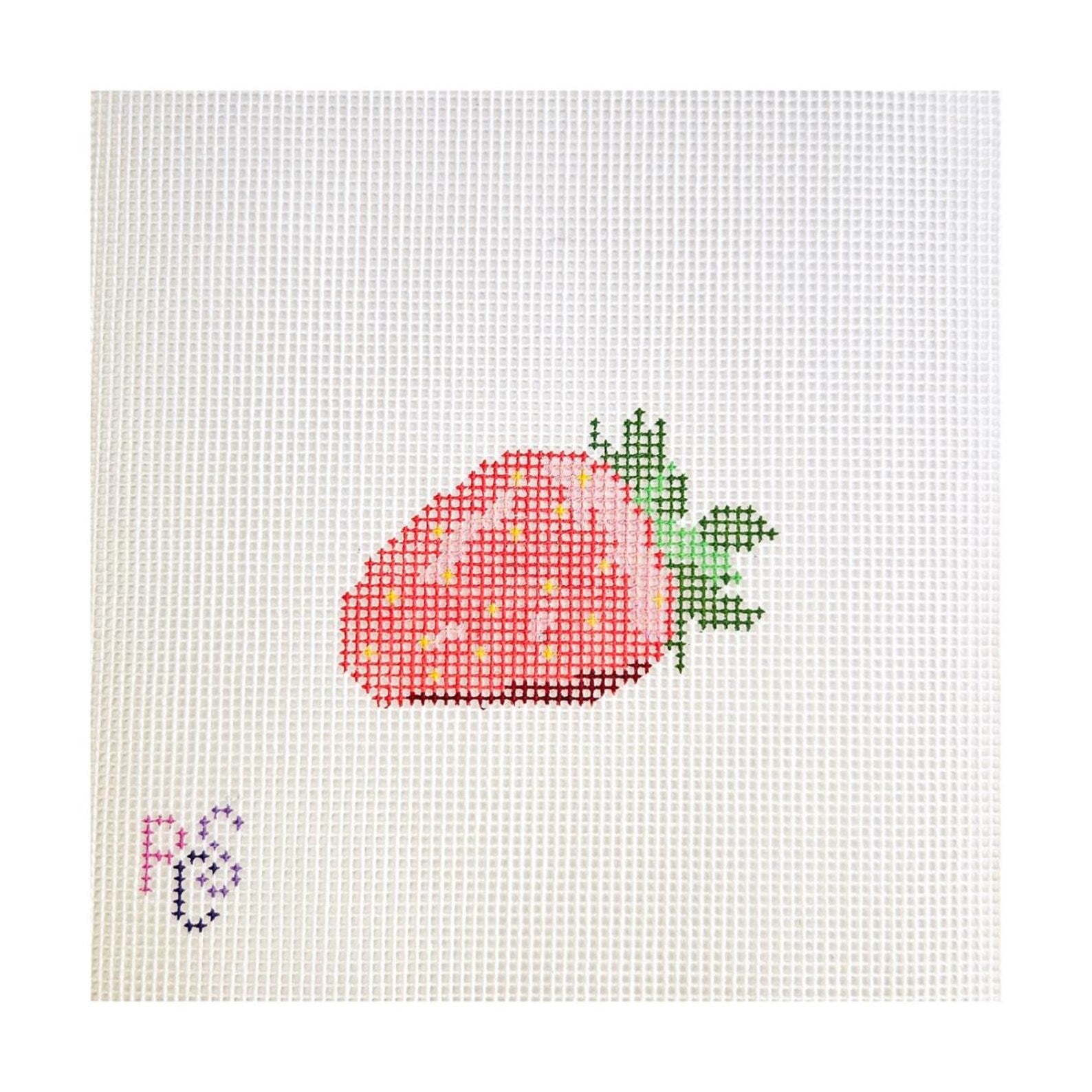 Strawberry Hand Painted Needlepoint Kit 14 Mesh