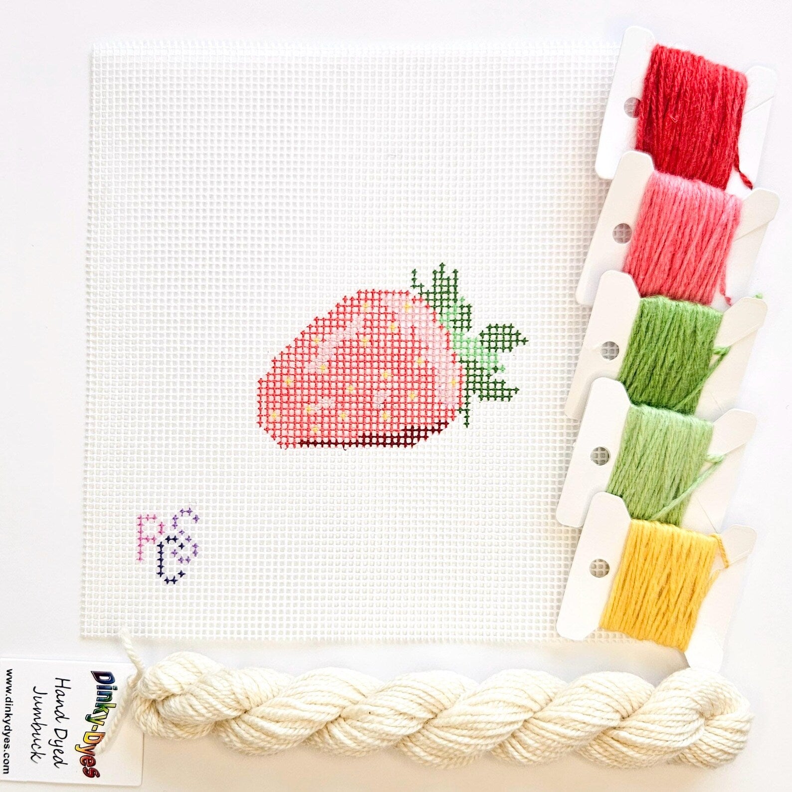 Strawberry Hand Painted Needlepoint Kit 14 Mesh Dinky Dyes