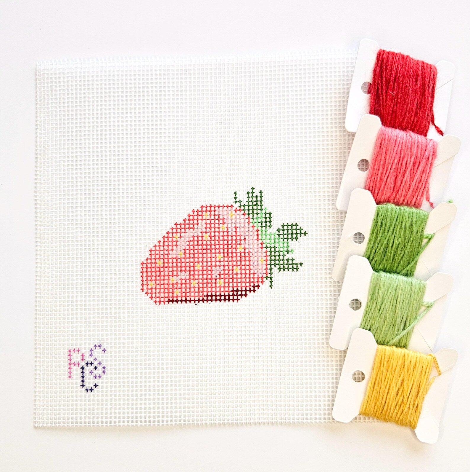 Strawberry Hand Painted Needlepoint Kit 14 Mesh Dinky Dyes thread kitted