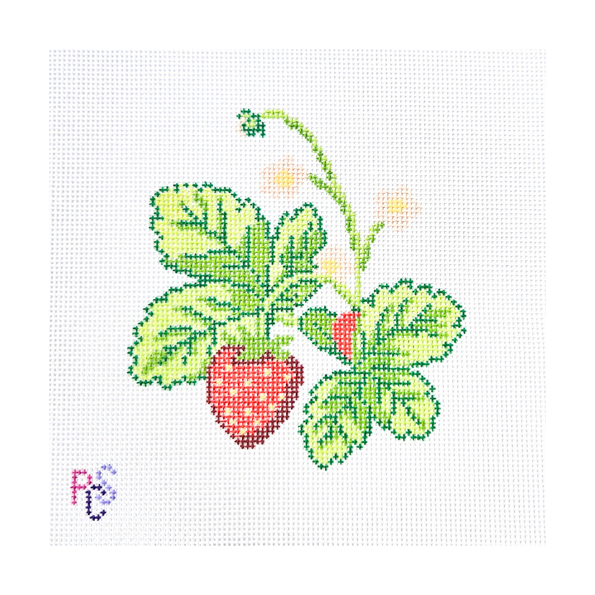Hand-painted Wild Strawberry Needlepoint Kit on 13 Count Zweigart Mono Deluxe Canvas featuring ripe red strawberries, green leaves, and delicate white blossoms in a botanical design.
