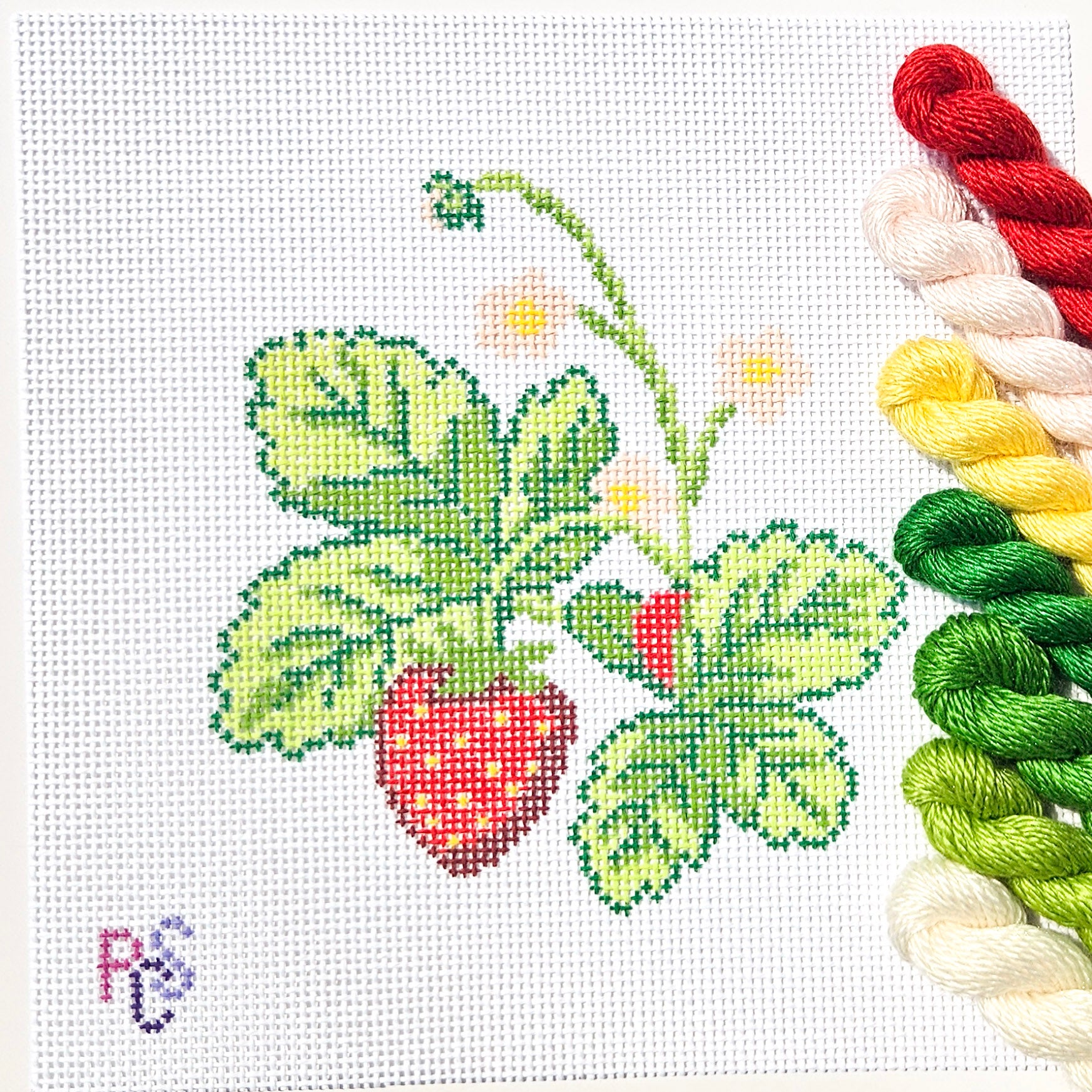 Hand-painted Wild Strawberry Needlepoint Kit on 13 Count Zweigart Mono Deluxe Canvas featuring ripe red strawberries, green leaves, and delicate white blossoms in a botanical design with Silk and Ivory thread.
