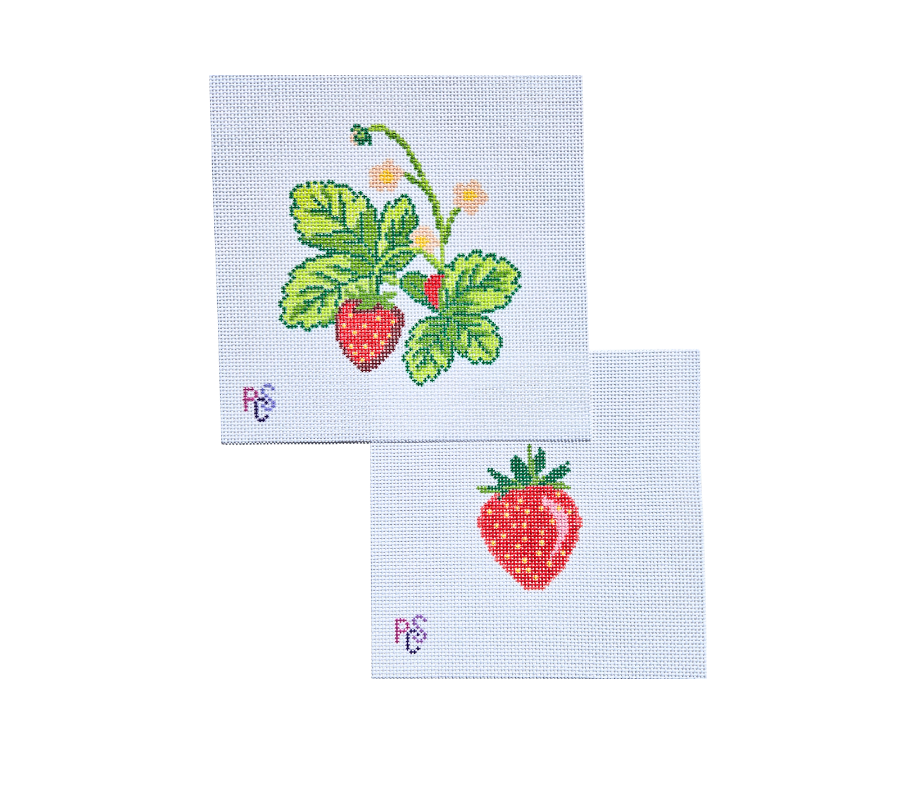 How to Tell If a Needlepoint Canvas Is Beginner Friendly?