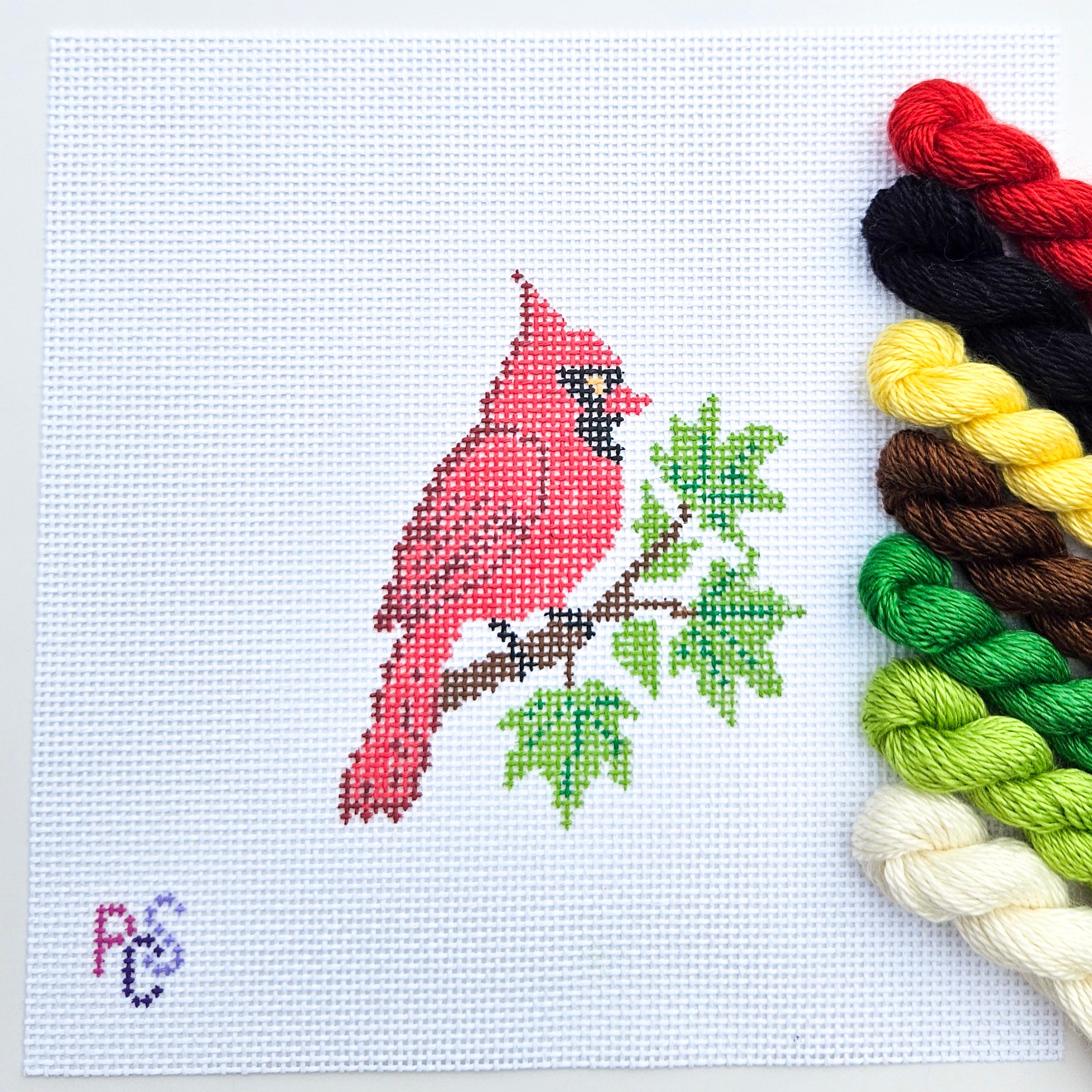 Cardinal Hand Painted Needlepoint Kit 13 Mesh Canvas Silk and Ivory