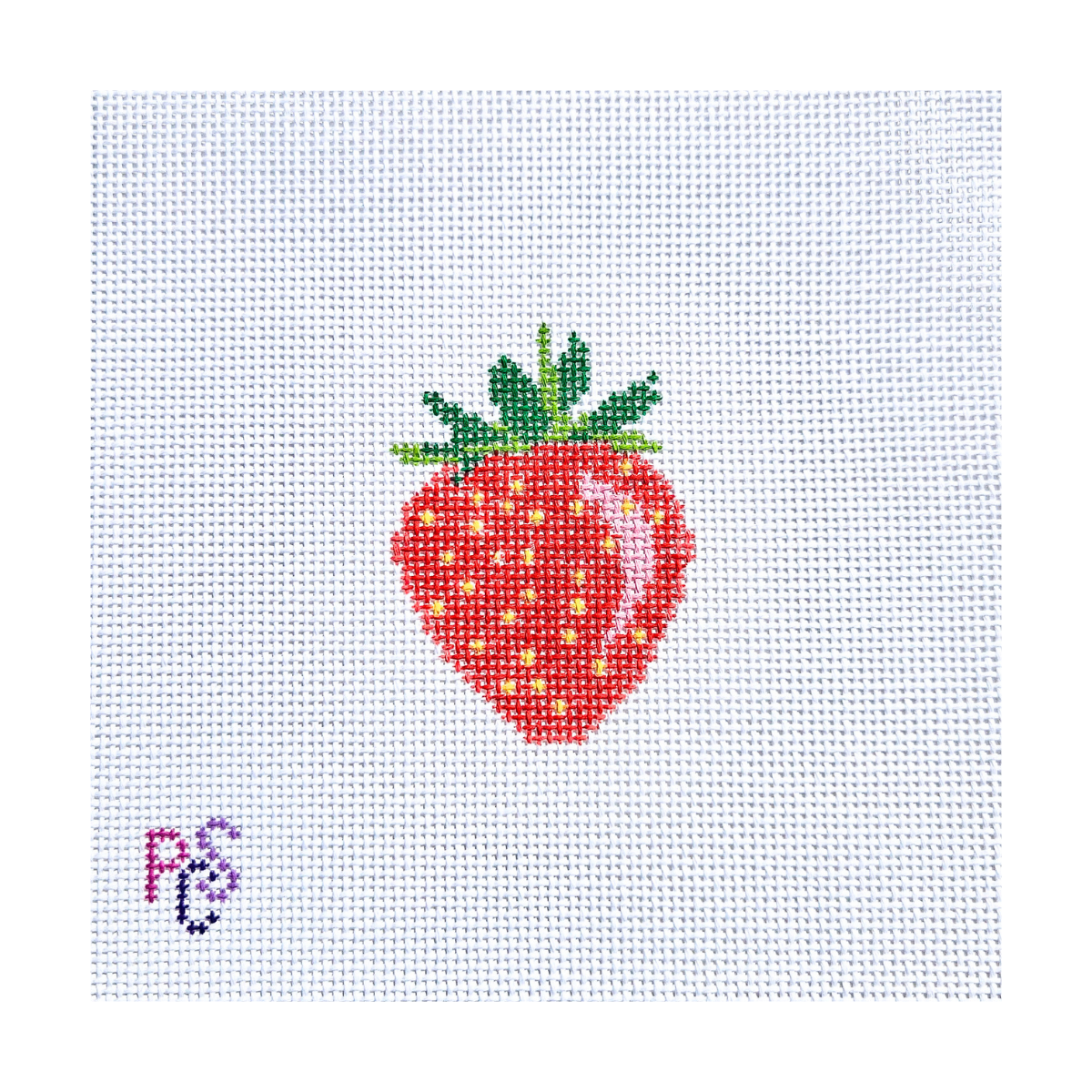 Cute Strawberry needlepoint kit hand painted canvas 13 mesh