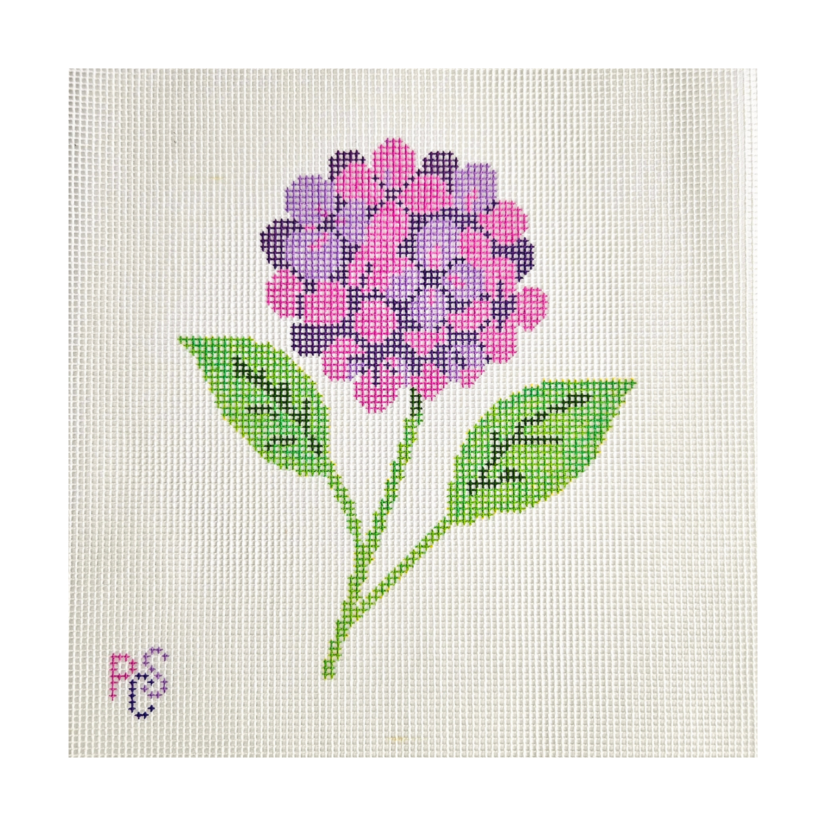 Hydrangea Blossom Hand Painted Needlepoint Kit 14 Mesh Canvas