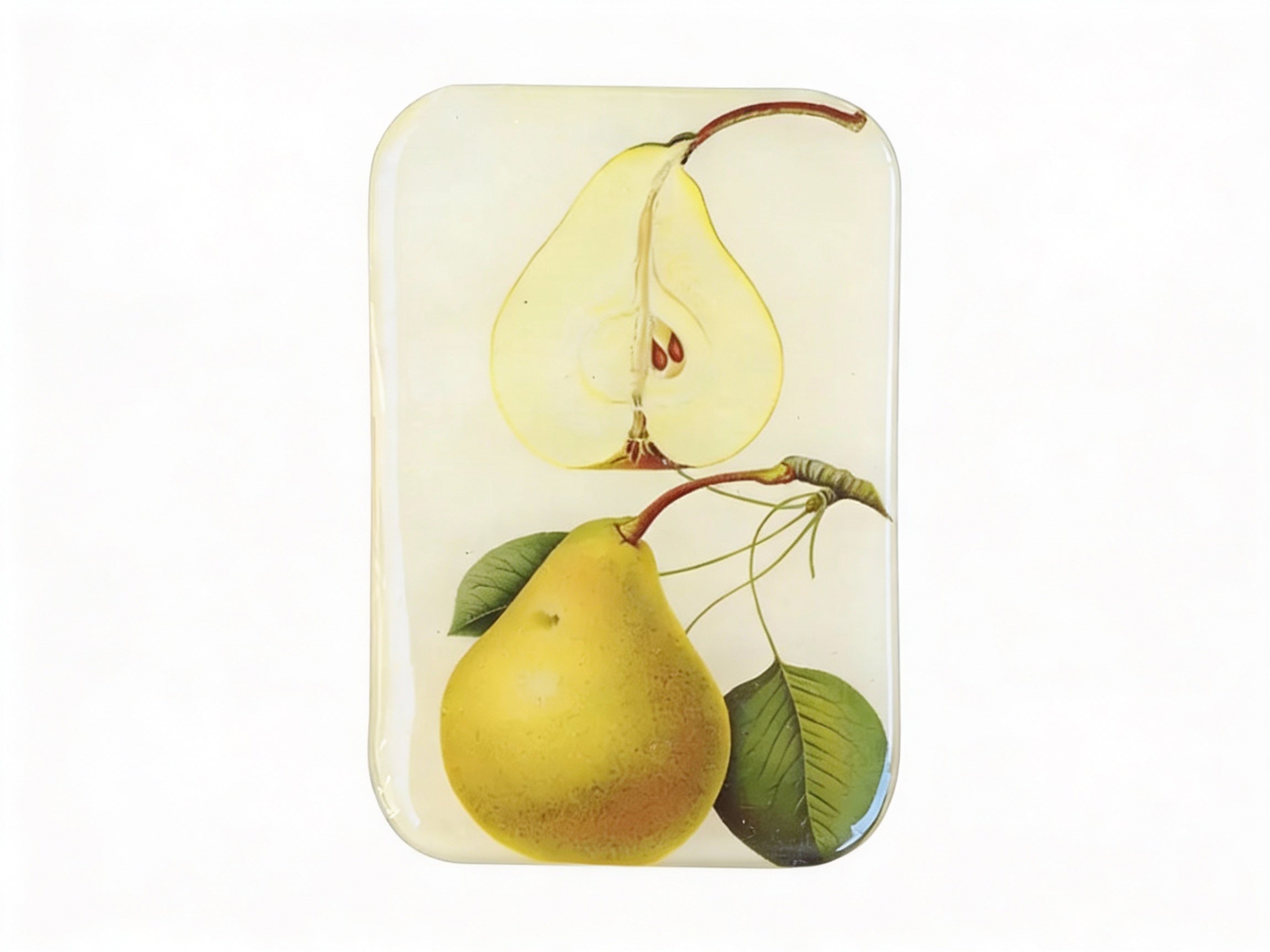 Notions Tin Can - Pear